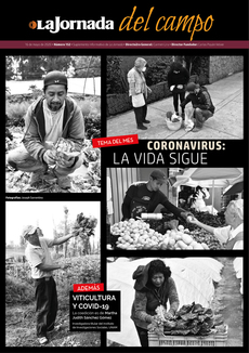 CORONAVIRUS: la vida sigue