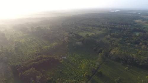 Tabasco: hallan plataforma de 1.5 km de largo y 3 mil años de antigüedad