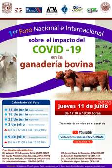 1er Foro Nacional e Internacional sobre el impacto del COVID-19 en la ganadería bovina, jueves 11 de junio