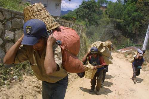 En San Mateo Piñas, Sierra Sur de Oaxaca, ya no hay ni para comer
