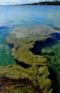 Turismo pone en riesgo la laguna de Bacalar: UNAM