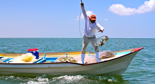 Pescadores, sin acceso a información sobre la emergencia sanitaria.