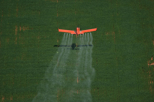  Daniel Beltrá, Greenpeace