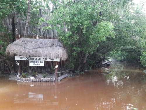 Urge restaurar manglares y ordenar el crecimiento poblacional en la isla Holbox