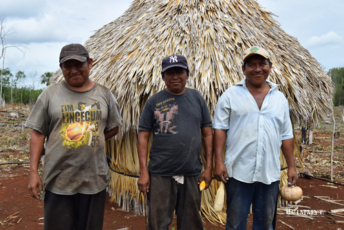 Colaboradores y técnicos del Proyecto Milpa Sustentable en la Península de Yucatán.