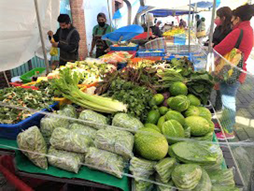 Un mundo de colores y sabores.