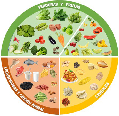Adaptación del plato sugerido por la Comisión de Eat-Lancet y la Escuela de Salud Pública de Harvard.