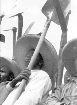 Trabajadores y campesinos laguneros