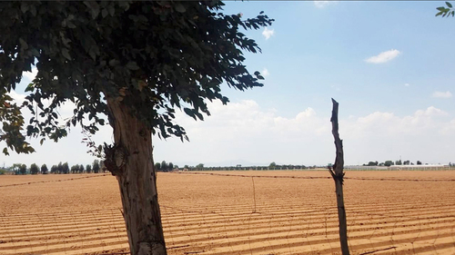 Desertificación y erosión de los suelos causados por la agroindustria en la Cuenca de la Independecia.