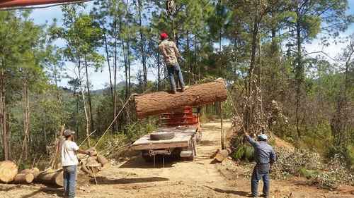 Criminales roban agua, minerales y madera, acusan campesinos de la sierra de Guerrero