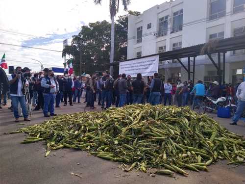 Campesinos tiraron ayer parte de sus cosechas de maíz para obstruir la circulación frente a la delegación de la Secretaría de Agricultura y Desarrollo Rural en el municipio de Cajeme, Sonora, a fin de exigir apoyos del gobierno federal y el pago de adeudos.