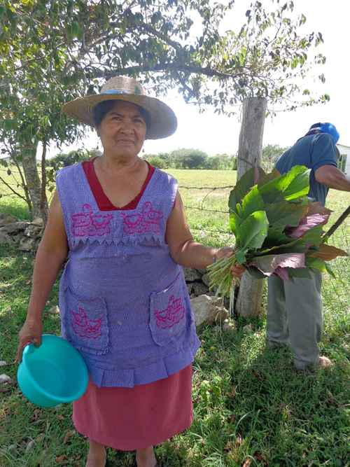 Mujer ganadera en Chiapas, México. Lorena Soto Pinto