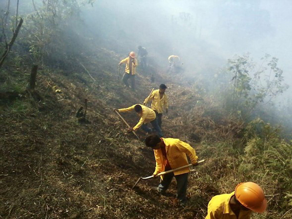 Control de incendio forestal en la Sierra de Zongolica en Veracruz. Asociación Local de Silvicultores de Zongolica