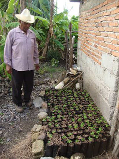 Vivero rural para establecer cercas vivas. Silvia López