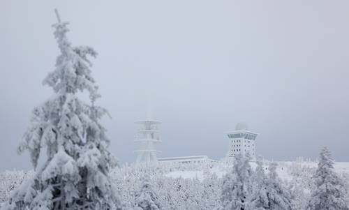 La investigación, realizada por expertos de la Universidad de Tecnología y Diseño de Singapur. La imagen fue tomada en el punto más alto de las montañas Harz, en Alemania.