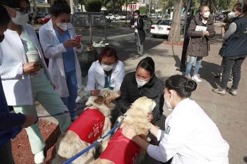 LOMITOS TERAPÉUTICOS EN TIEMPOS DE CRISIS. A las afueras del INER, personal médico se sacude el estrés, luego de muchas horas de trabajo, acariciando a un par de perritos entrenados.