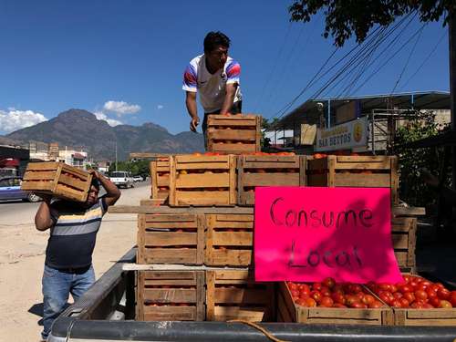 En el poblado de El Ocotito, municipio de Chilpancingo, Guerrero, productores de jitomate remataron hasta en 80 pesos la caja debido a las bajas ventas, cuando en años pasados llegaron a venderla hasta en 500 pesos.