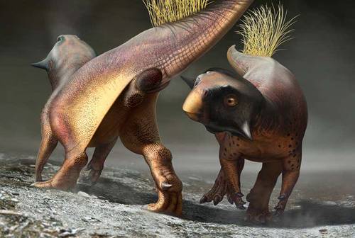 La Jornada - Representan por primera vez la cloaca de un dinosaurio