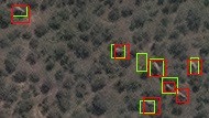 Elefantes en el bosque vistos desde el espacio. Los rectángulos verdes muestran paquidermos detectados por el algortimo, los rojos muestran los verificados por humanos.