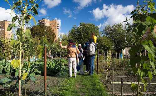 A unos 8 kilómetros de París se encuentra esta localidad dormitorio, donde productores locales por medio de diversos métodos de cultivo han logrado establecer un gran mercado de autoconsumo.