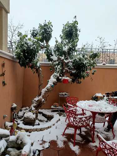 El frente frío número 35 y una masa de aire polar provocaron nevadas y temperaturas hasta de 10 grados centígrados bajo cero en Ciudad Juárez, Chihuahua, lo que obligó al cierre de carreteras y del aeropuerto de esa localidad.