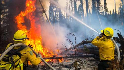 Sequía causará que la temporada de incendios sea crítica en 2021: Conafor