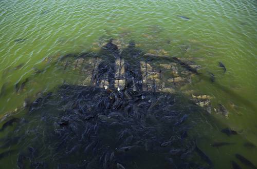 Los humanos tienen un papel dominante en el ciclo del agua