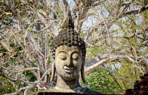 El Parque Histórico de Sukhothai, ubicado en la provincia del mismo nombre en el norte de Tailandia, reúne vestigios históricos de los siglos XIII y XIX, entre los que sobresalen estatuas antiguas de Buda, así como restos de templos y palacios. El sitio fue declarado así por la Organización de Naciones Unidas para la Educación, la Ciencia y la Cultura el 12 de diciembre de 1991.
