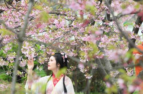 Una mujer con vestimenta tradicional posa con flores de cerezo junto al lago Este en Wuhan, provincia de Hubei, en el centro de China, durante el festival de estas flores, el cual da la bienvenida a los trabajadores de primera línea que lucharon en el control de la pandemia de Covid.