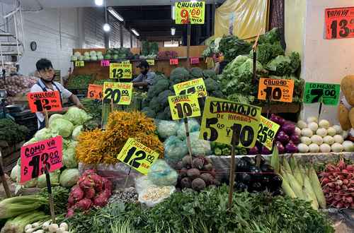 La FAO pronosticó que las cosechas de cereales en el mundo alcanzarán un récord anual en 2020 y que los primeros indicios apuntan a un mayor aumento en la producción de 2021.