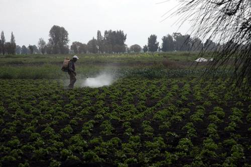 Trasnacionales venden aquí productos retirados para su uso en Estados Unidos y en la Unión Europea.