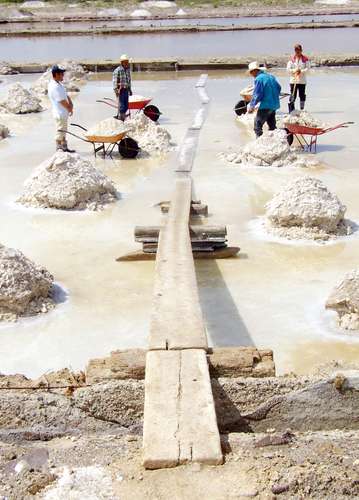 La explotación de salinas en la comunidad El Zancarrón es común desde la época de la Colonia. La zona semidesértica entre Zacatecas y SLP es rica en litio, susceptible de explotación industrial.