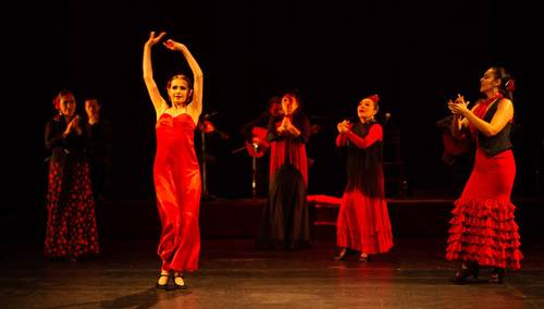 A la sombra del naranjo es un espectáculo “de pasión y fuego, de gran colorido y drama, con música, cante, baile y palmeo, en el cual 10 artistas expresan una gran fiesta andaluza”, comentó la directora de ¡Viva Flamenco! en entrevista con La Jornada.
