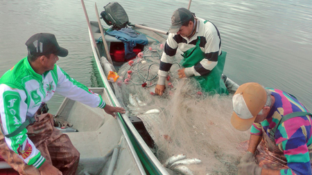 Pescadores de enmalle litoral de SP.  Sergio Mattos