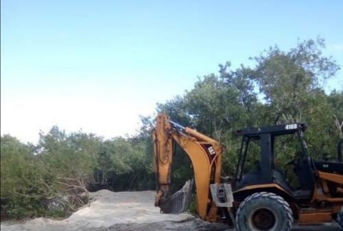 Abren con maquinaria calle hacia un río en zona protegida de Holbox