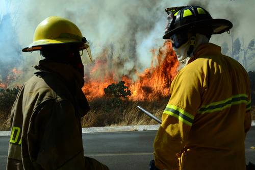 Personal operativo de Protección Civil y de la Comisión Nacional Forestal combate el incendio provocado en las faldas del cerro de la Bufa, en los límites del centro histórico de la capital de Zacatecas.