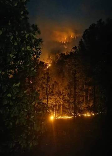 Un incendio forestal se extendió del municipio de Guerrero a Bocoyna, en la Sierra Tarahumara.