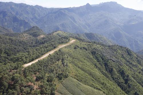 México, entre los primeros 10 países del orbe que más bosque perdieron en 2020-21