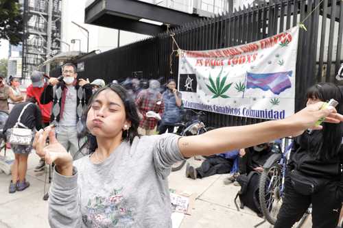 Jóvenes asistieron a la conferencia realizada afuera del Senado por la organización Mariguana Liberación.