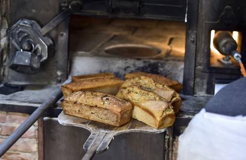 Los precios mundiales de los alimentos subieron en marzo por décimo mes consecutivo y tocaron su nivel más alto desde julio de 2014, debido al aumento en aceites vegetales, carne y lácteos, reportó la Organización de Naciones Unidas para la Agricultura y la Alimentación. Su índice de precios promedió 118.5 puntos, un incremento de 2.06 por ciento, respecto a febrero. El organismo indicó que las cosechas de cereales iniciadas en 2020 están en camino a alcanzar un récord anual y los primeros indicios apuntan a una mayor producción en 2021. El pronóstico para la temporada de cereales de 2020 fue elevado a 2 mil 765 millones de toneladas, superior a la estimación de 2 mil 761 millones del mes pasado.