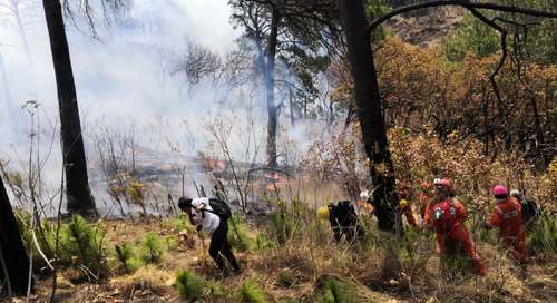 El incendio que se inició el domingo pasado en el parque nacional El Tepozteco, en Tepoztlán, Morelos ya fue controlado y sofocado en 90 por ciento; las autoridades ambientales reportaron que el fuego consumió 350 hectáreas de pinos y encinos.