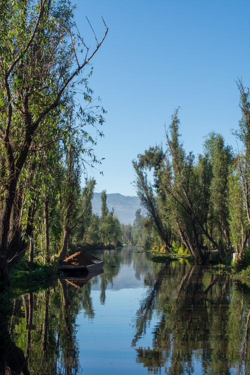 Canales de Xochimilco.  David Rivero Fragoso