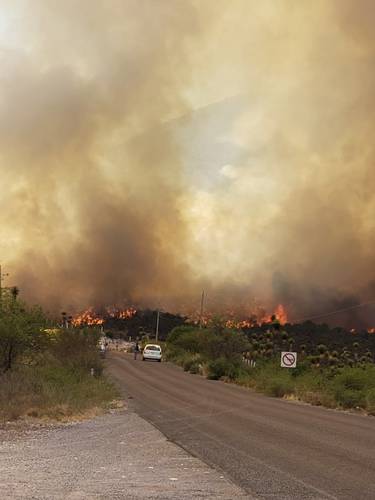 Un incendio forestal en la sierra que colinda con los municipios de Miquihuana y Bustamante, Tamaulipas, se encuentra fuera de control. Al menos 100 brigadistas, entre voluntarios, empleados estatales y de la Secretaría de Medio Ambiente y Recursos Naturales combaten el fuego. La imagen fue compartida por integrantes de las brigadas.
