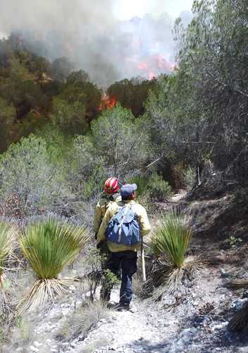 Tres mil 200 hectáreas de monte bajo, arbustos, pino y encino han sido consumidas por el incendio que se inició la semana pasada entre los municipios de Bustamante y Miquihuana, en Tamaulipas, y que ha sido controlado en 65 por ciento.
