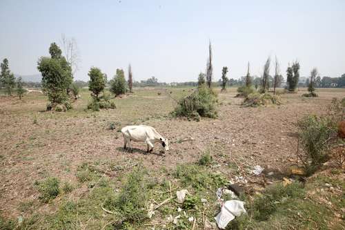 ESTIAJE SEVERO. El vaso regulador ubicado en San Lucas Xochimanca, Xochimilco, se encuentra totalmente seco ante la carencia de lluvias en la Ciudad de México.