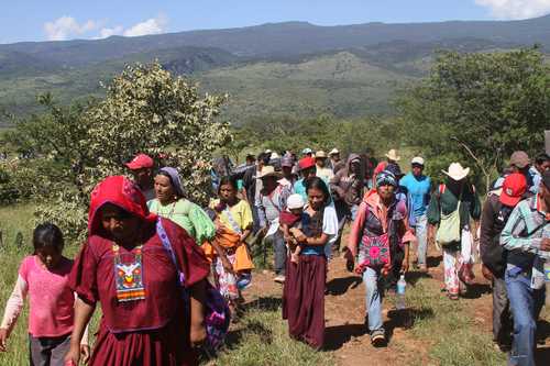 Entrega tribunal agrario a wixaritari de Jalisco 41 hectáreas en Nayarit