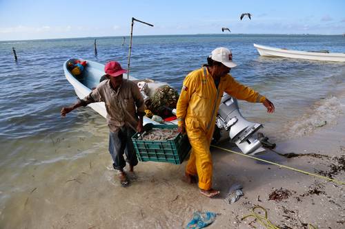 
<br>Desde 2018 se dejaron de brindar cursos sobre protección a tortugas