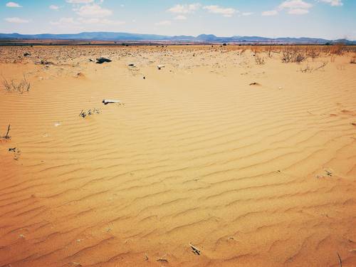 Dunas de arena sobre campos de cultivo en el ejido Ignacio Zaragoza, ubicado en el noroeste de Zacatecas, entre los municipios de Sombrerete, Miguel Auza, Río Grande y Saín Alto.