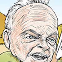 Mostrar el cartón