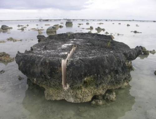 Microatolón de Labuhan Bajau en el sureste de Simeulue. Una losa radial que se extrajo de él tenía 2.6 metros de largo y fue utilizada para reconstruir cambios en el nivel relativo del mar y el de la tierra.